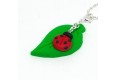 Ladybug